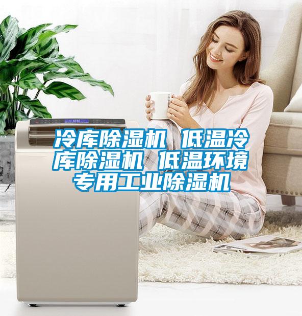 冷库除湿机 低温冷库除湿机 低温环境专用宝马电子游戏平台网址
