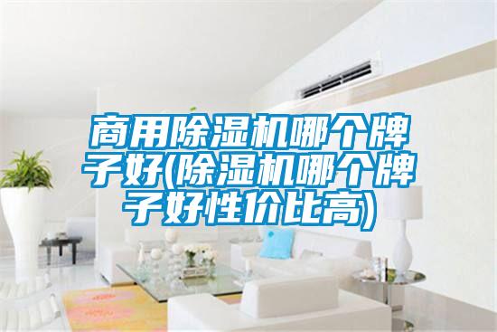 商用除湿机哪个牌子好(除湿机哪个牌子好性价比高)