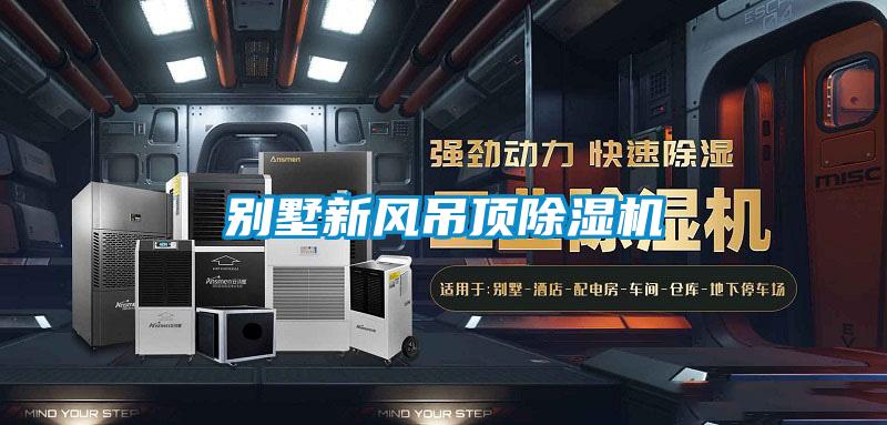 别墅新风吊顶除湿机