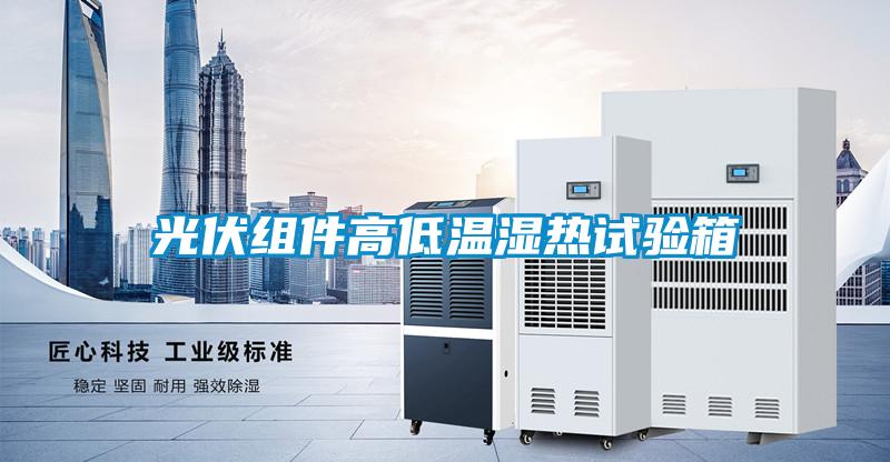 光伏组件高低温湿热试验箱