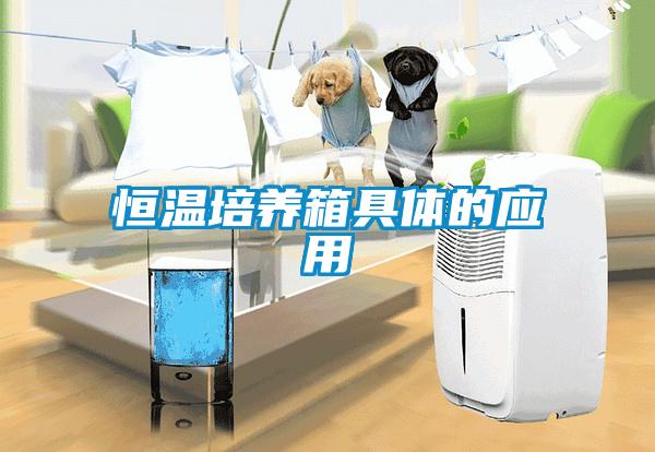 恒温培养箱具体的应用