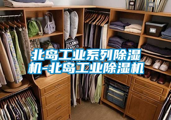 北岛工业系列除湿机-北岛宝马电子游戏平台网址
