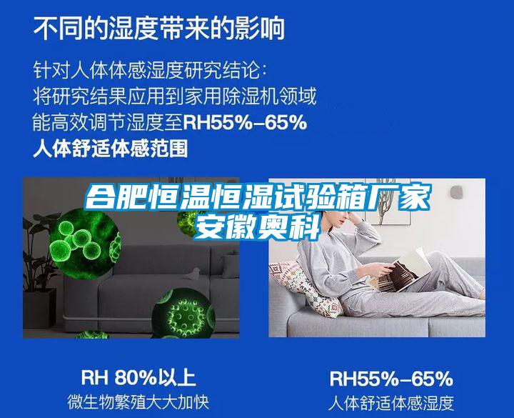 合肥恒温恒湿试验箱厂家安徽奥科