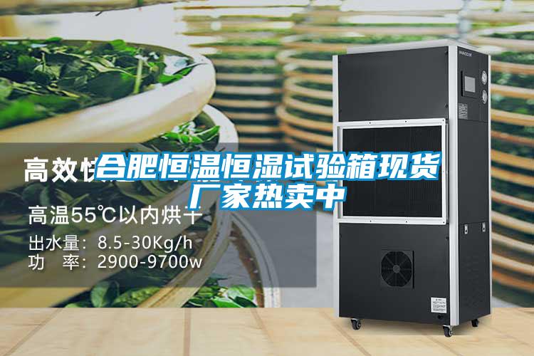 合肥恒温恒湿试验箱现货厂家热卖中