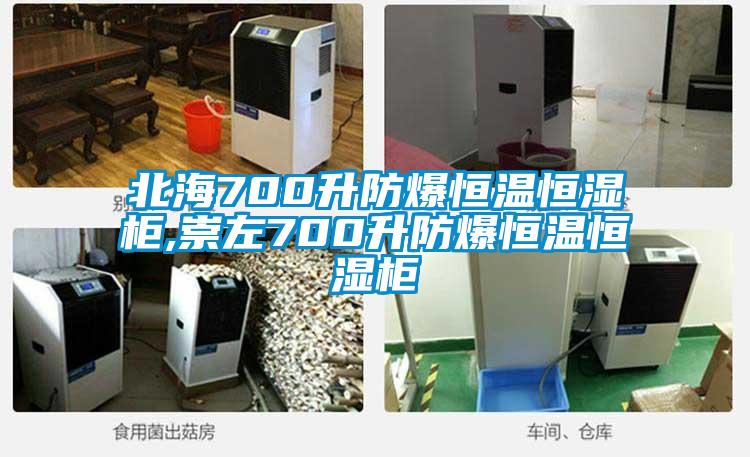 北海700升防爆恒温恒湿柜,崇左700升防爆恒温恒湿柜