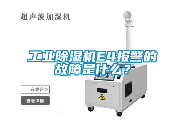 宝马电子游戏平台网址
E4报警的故障是什么？
