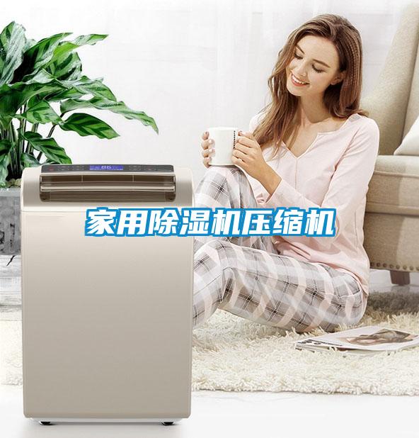 家用除湿机压缩机