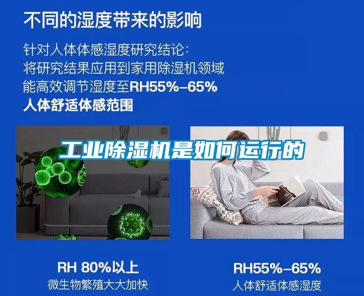宝马电子游戏平台网址
是如何运行的