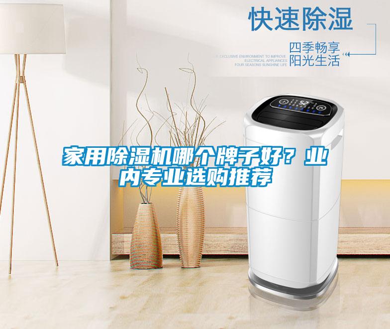 家用除湿机哪个牌子好？业内专业选购推荐