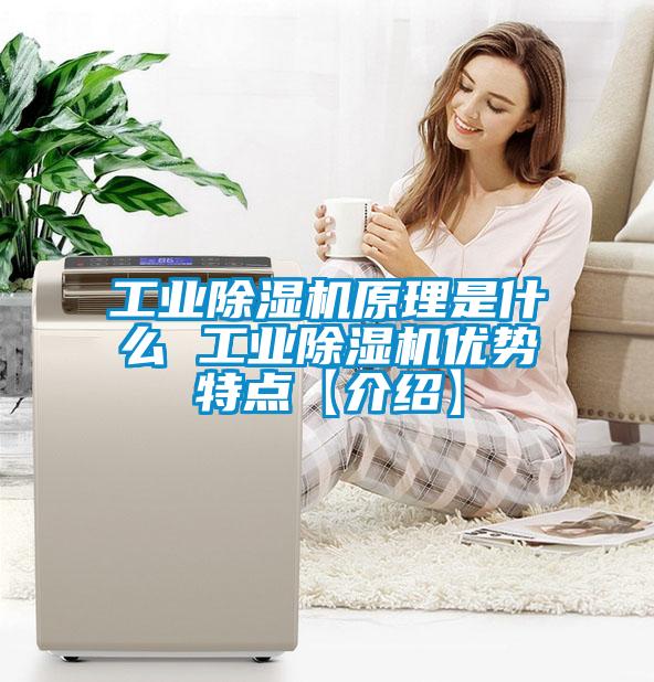宝马电子游戏平台网址
原理是什么 宝马电子游戏平台网址
优势特点【介绍】