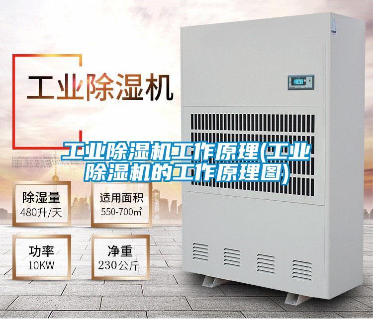 宝马电子游戏平台网址
工作原理(宝马电子游戏平台网址
的工作原理图)