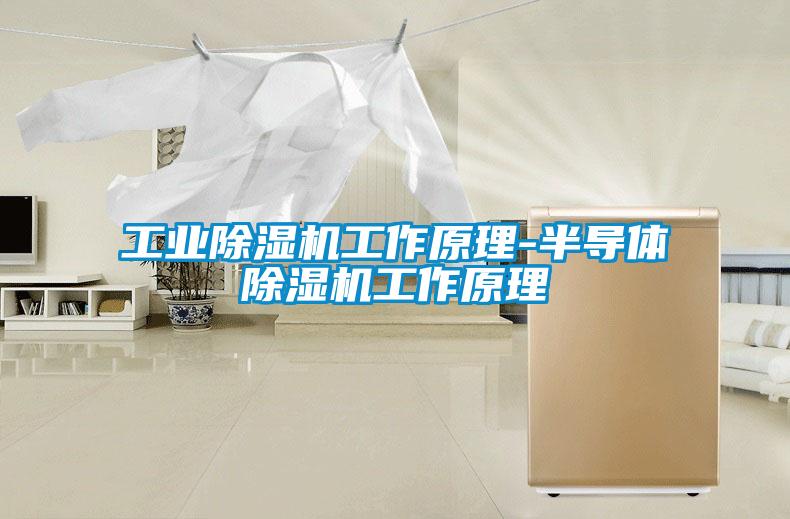 宝马电子游戏平台网址
工作原理-半导体除湿机工作原理