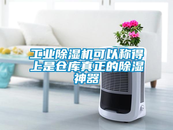 宝马电子游戏平台网址
可以称得上是仓库真正的除湿神器