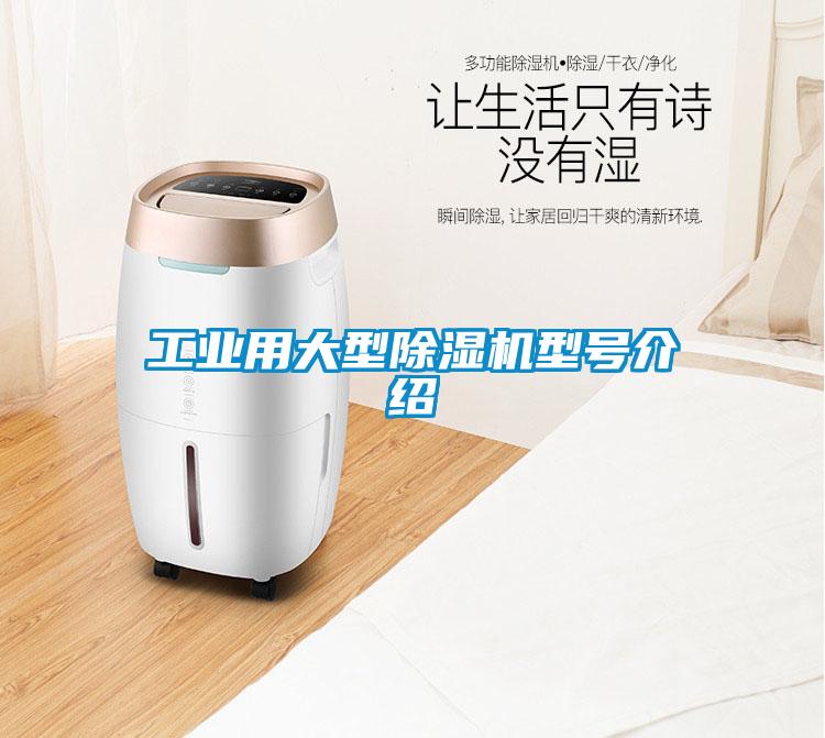 工业用大型除湿机型号介绍