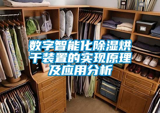 数字智能化除湿烘干装置的实现原理及应用分析