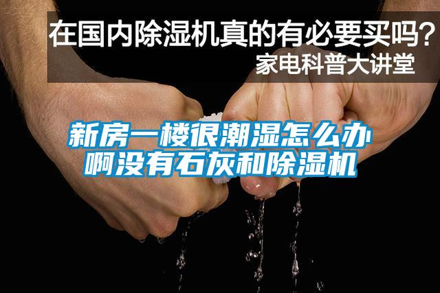 新房一楼很潮湿怎么办啊没有石灰和除湿机