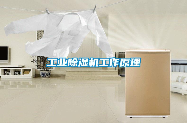 宝马电子游戏平台网址
工作原理