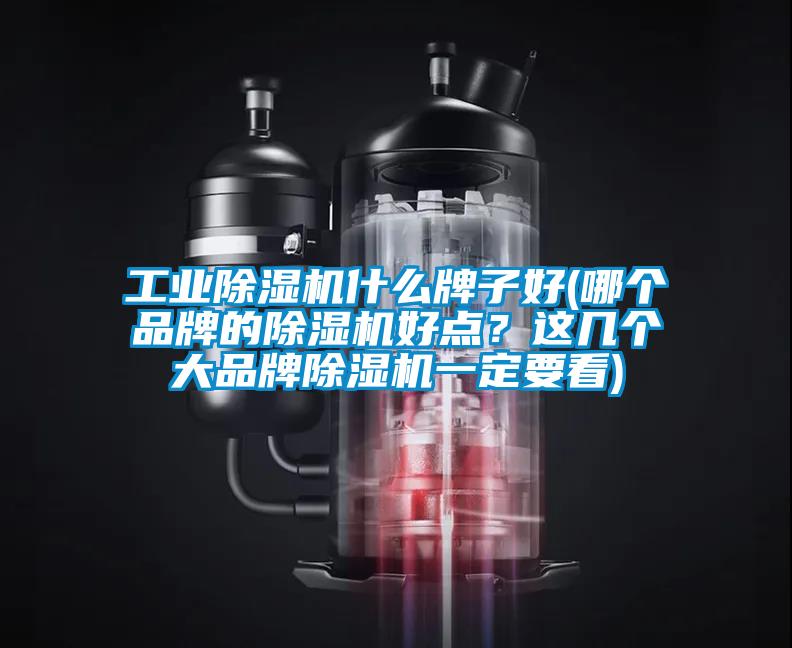 宝马电子游戏平台网址
什么牌子好(哪个品牌的除湿机好点？这几个大品牌除湿机一定要看)
