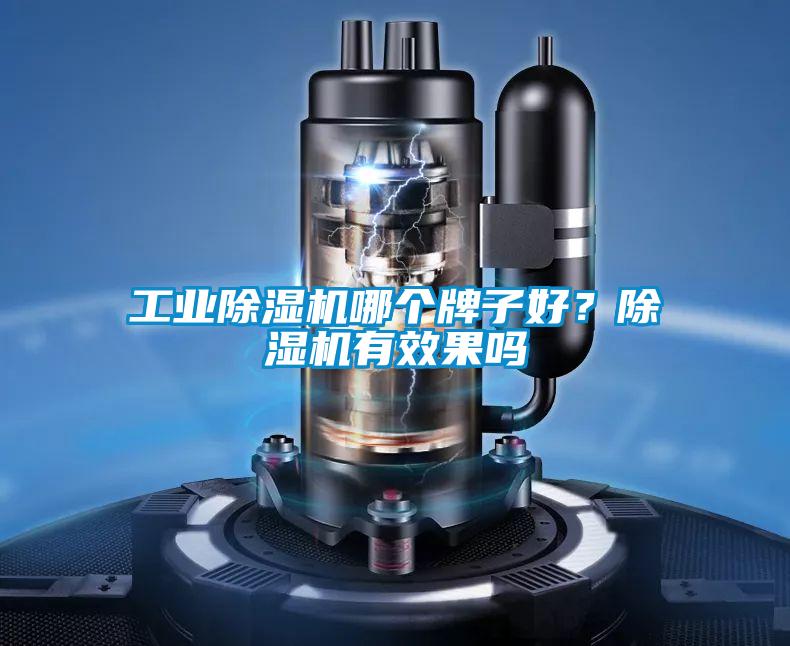 宝马电子游戏平台网址
哪个牌子好？除湿机有效果吗