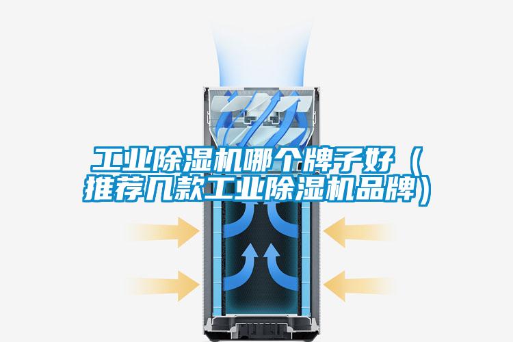 宝马电子游戏平台网址
哪个牌子好（推荐几款宝马电子游戏平台网址
品牌）