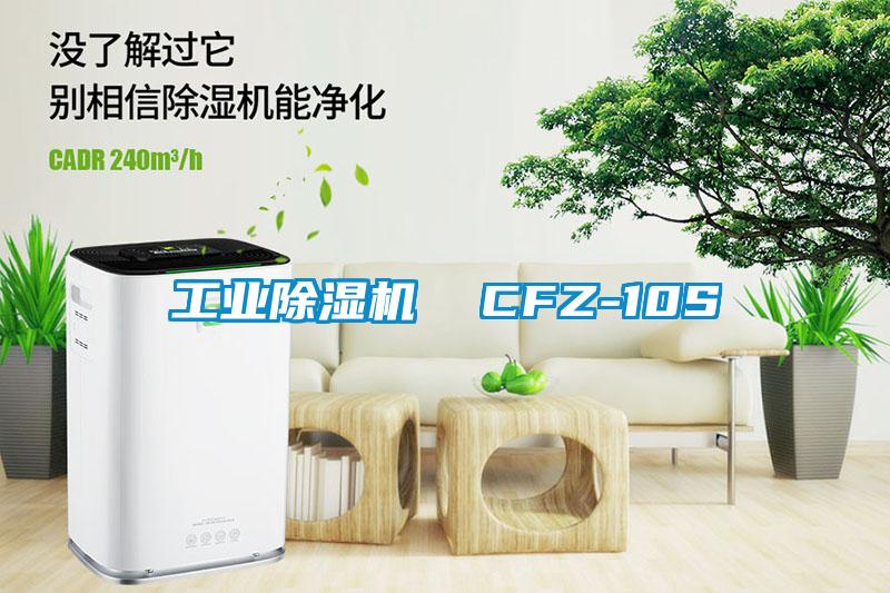 宝马电子游戏平台网址
  CFZ-10S