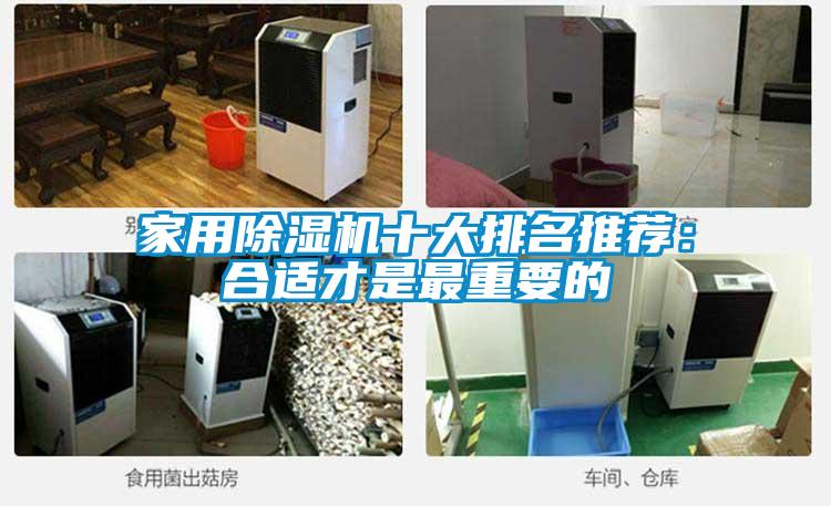 家用除湿机十大排名推荐：合适才是最重要的