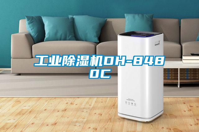 宝马电子游戏平台网址
DH-8480C