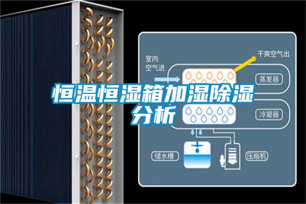 恒温恒湿箱加湿除湿分析
