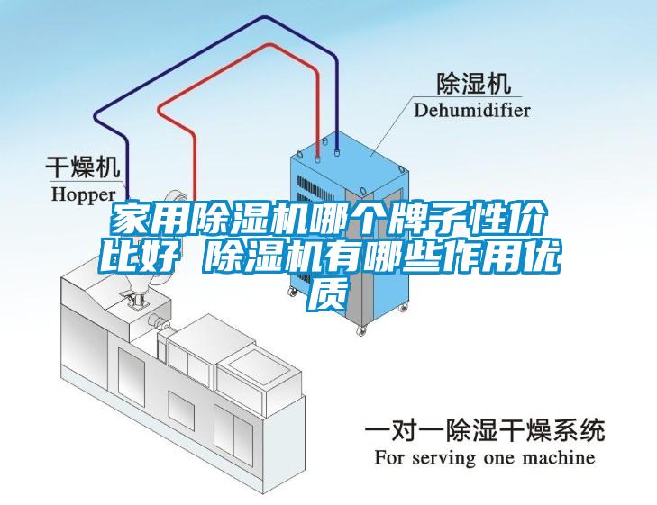 家用除湿机哪个牌子性价比好 除湿机有哪些作用优质