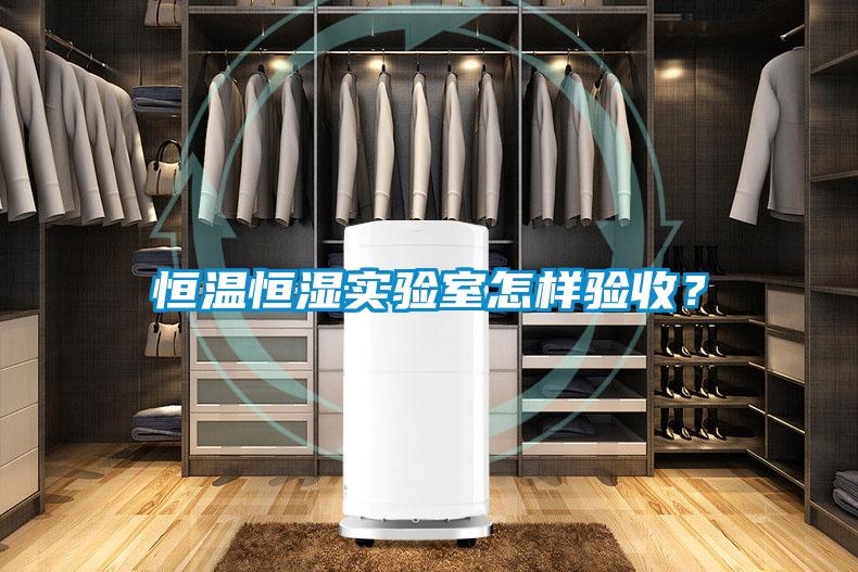 恒温恒湿实验室怎样验收？
