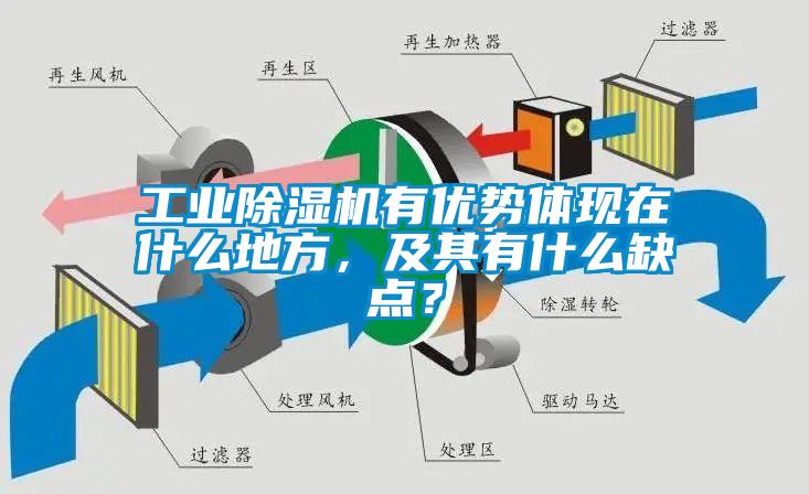 宝马电子游戏平台网址
有优势体现在什么地方，及其有什么缺点？