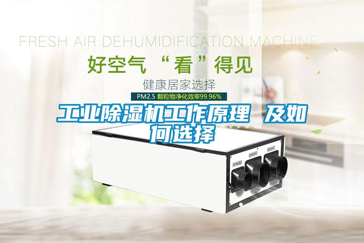 宝马电子游戏平台网址
工作原理 及如何选择