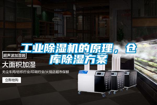 宝马电子游戏平台网址
的原理，仓库除湿方案