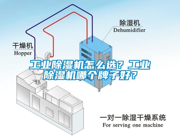 宝马电子游戏平台网址
怎么选？宝马电子游戏平台网址
哪个牌子好？