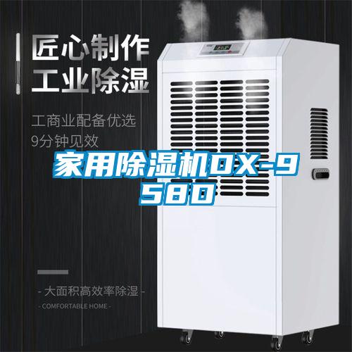 家用除湿机DX-958D