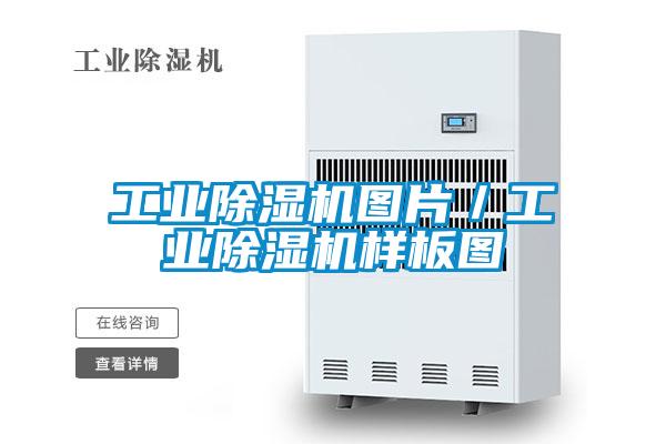 宝马电子游戏平台网址
图片／宝马电子游戏平台网址
样板图