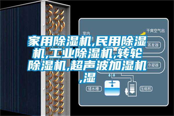 家用除湿机,民用除湿机,宝马电子游戏平台网址
,转轮除湿机,超声波加湿机,湿