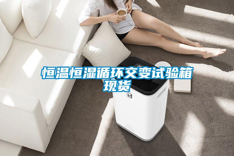 恒温恒湿循环交变试验箱现货