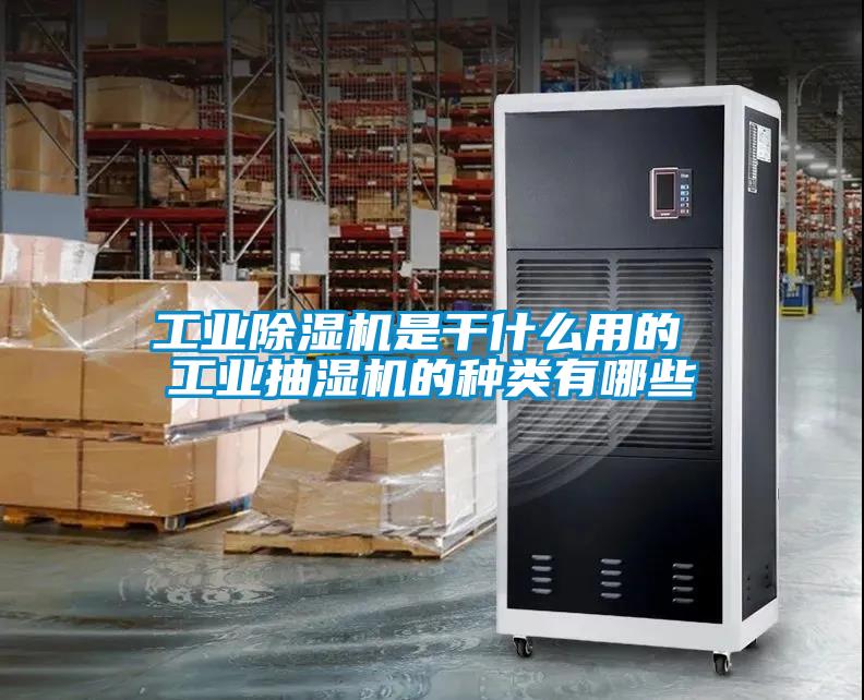 宝马电子游戏平台网址
是干什么用的 工业抽湿机的种类有哪些