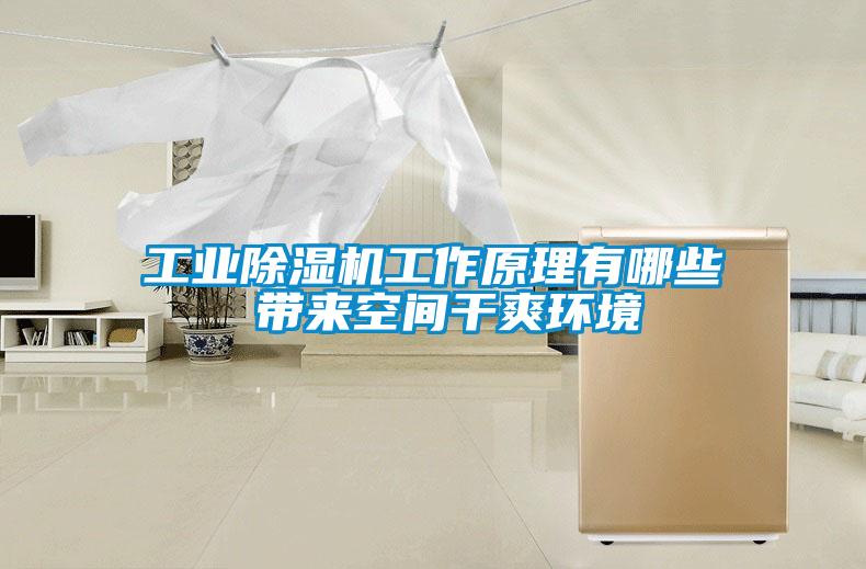 宝马电子游戏平台网址
工作原理有哪些 带来空间干爽环境