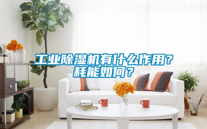 宝马电子游戏平台网址
有什么作用？耗能如何？