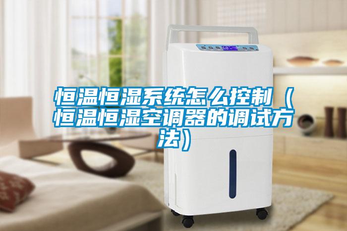 恒温恒湿系统怎么控制（恒温恒湿空调器的调试方法）