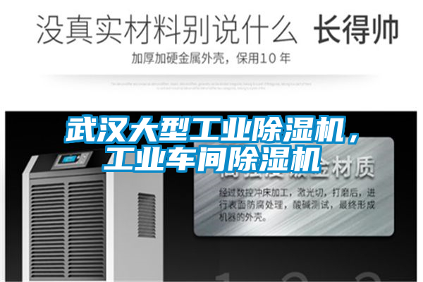 武汉大型宝马电子游戏平台网址
，工业车间除湿机