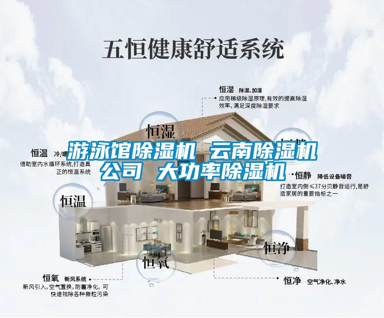 游泳馆除湿机 云南除湿机公司 大功率除湿机