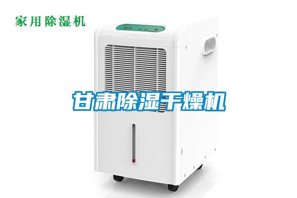 甘肃除湿干燥机