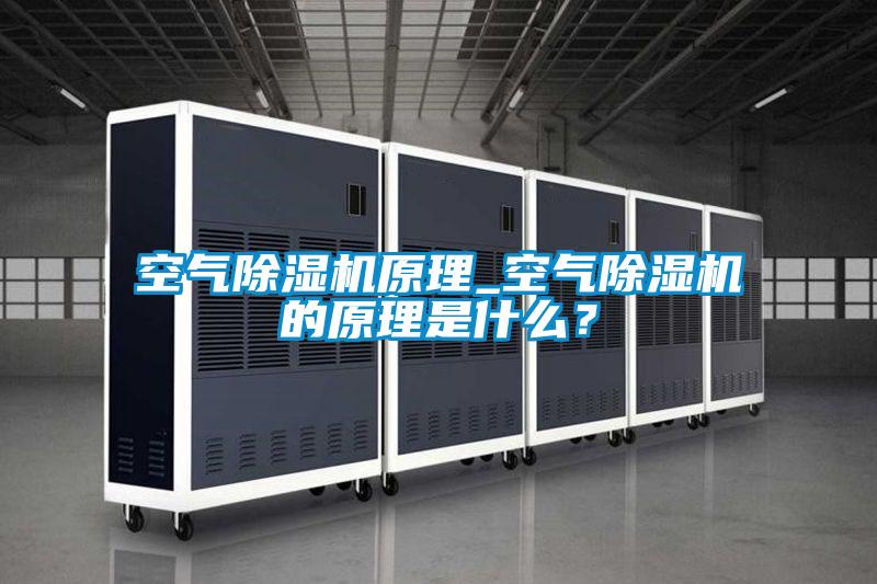 空气除湿机原理_空气除湿机的原理是什么？