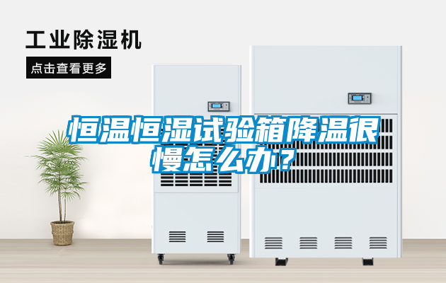 恒温恒湿试验箱降温很慢怎么办？