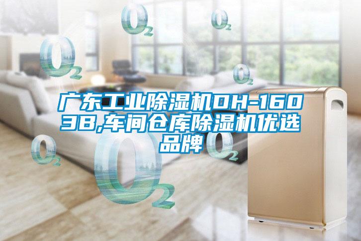 广东宝马电子游戏平台网址
DH-1603B,车间仓库除湿机优选品牌