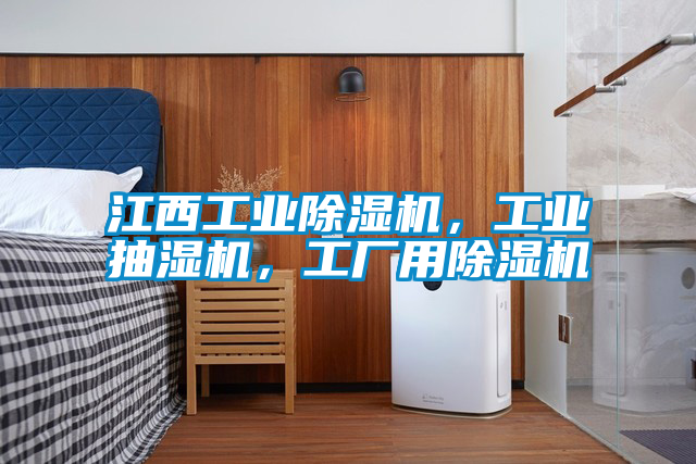江西宝马电子游戏平台网址
，工业抽湿机，工厂用除湿机