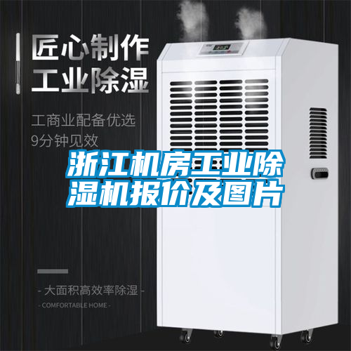浙江机房宝马电子游戏平台网址
报价及图片